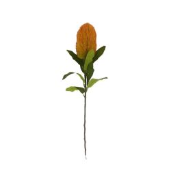 TIGE BANKSIA ORANGE 66CM de Décoration de la maison à Libourne dans K0301