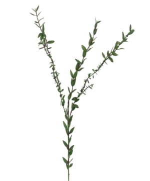 TIGE EUCALYPTUS PARVIFOLIA VERT 79CM de Décoration de la maison à Libourne dans K0301