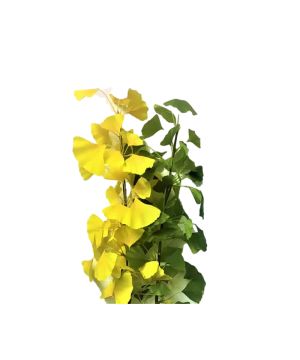 BRANCHE FEUILLES DE GINKO JAUNE 97CM de Décoration de la maison à Libourne dans K0301