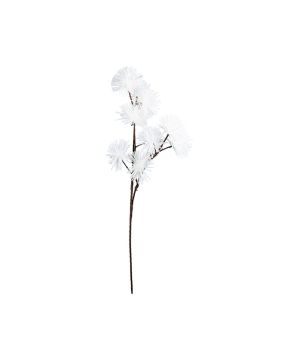 FLEUR CASSIA BLANC H125CM de Décoration de la maison à Libourne dans Y001