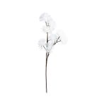 FLEUR CASSIA BLANC H125CM de Décoration de la maison à Libourne dans Y001