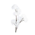 FLEUR CASSIA BLANC H125CM de Décoration de la maison à Libourne dans Y001