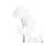 FLEUR CASSIA BLANC H125CM de Décoration de la maison à Libourne dans Y001