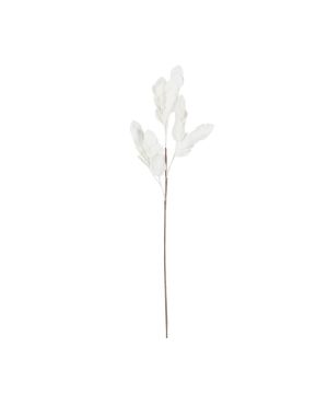 BRANCHAGE SORBIER BLANC H80CM de Décoration de la maison à Libourne dans Y001