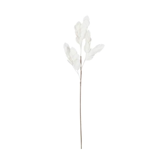 BRANCHAGE SORBIER BLANC H80CM de Décoration de la maison à Libourne dans Y001