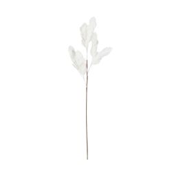 BRANCHAGE SORBIER BLANC H80CM de Décoration de la maison à Libourne dans Y001