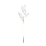 BRANCHAGE SORBIER BLANC H80CM de Décoration de la maison à Libourne dans Y001