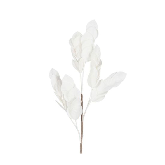 BRANCHAGE SORBIER BLANC H80CM de Décoration de la maison à Libourne dans Y001