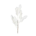 BRANCHAGE SORBIER BLANC H80CM de Décoration de la maison à Libourne dans Y001