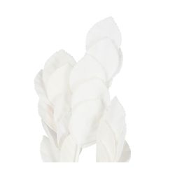 BRANCHAGE SORBIER BLANC H80CM de Décoration de la maison à Libourne dans Y001