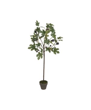 PLANTE FIGUIER VERT H120CM de Décoration de la maison à Libourne dans Y001