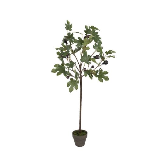 PLANTE FIGUIER VERT H120CM de Décoration de la maison à Libourne dans Y001