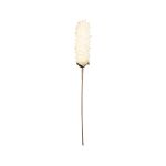 FLEUR TUMBA ECRU H61CM de Décoration de la maison à Libourne dans Y001