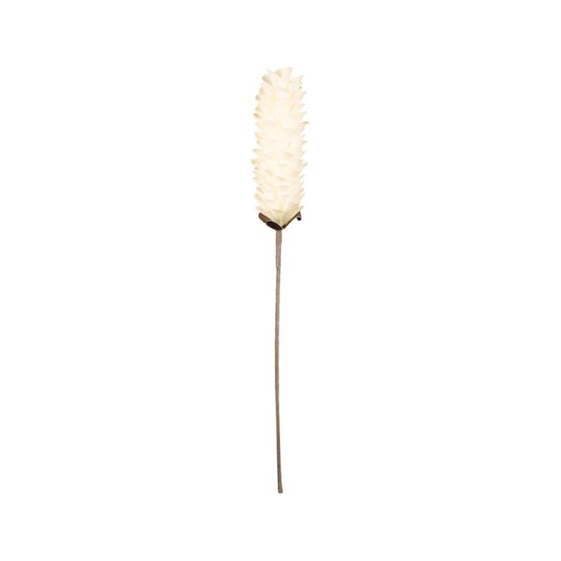 FLEUR TUMBA ECRU H61CM de Décoration de la maison à Libourne dans Y001