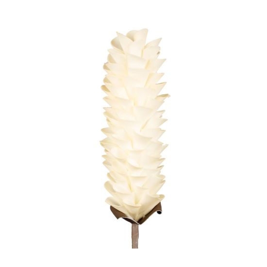 FLEUR TUMBA ECRU H61CM de Décoration de la maison à Libourne dans Y001