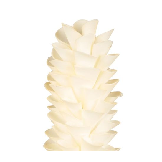 FLEUR TUMBA ECRU H61CM de Décoration de la maison à Libourne dans Y001