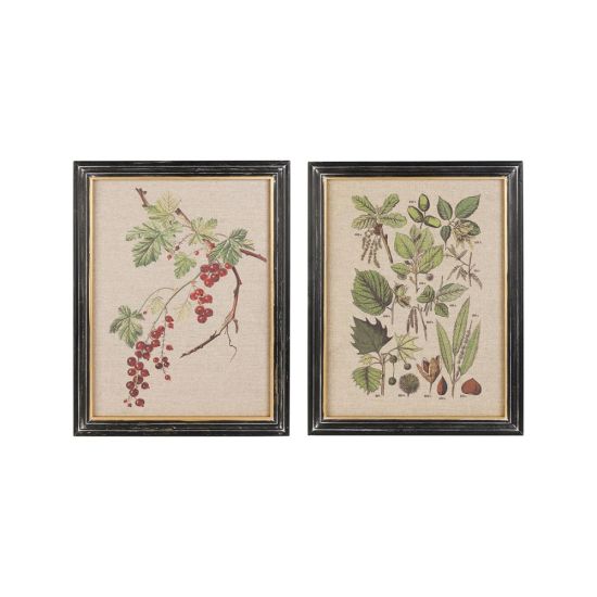 CADRE DECO ARBRE BOTANIQUE 33X43CM de Décoration de la maison à Libourne dans Y001