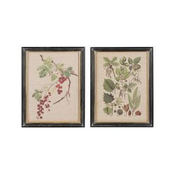 CADRE DECO ARBRE BOTANIQUE 33X43CM de Décoration de la maison à Libourne dans Y001