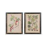 CADRE DECO ARBRE BOTANIQUE 33X43CM de Décoration de la maison à Libourne dans Y001
