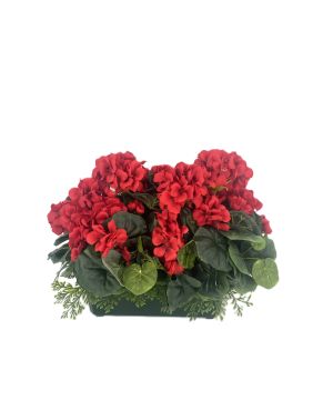 JARDINIERE GERANIUMS ZONALS ROUGE de Décoration de la maison à Libourne dans K0301