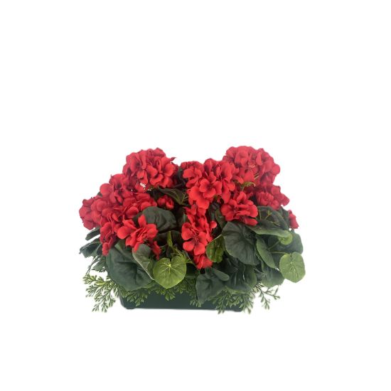 JARDINIERE GERANIUMS ZONALS ROUGE de Décoration de la maison à Libourne dans K0301