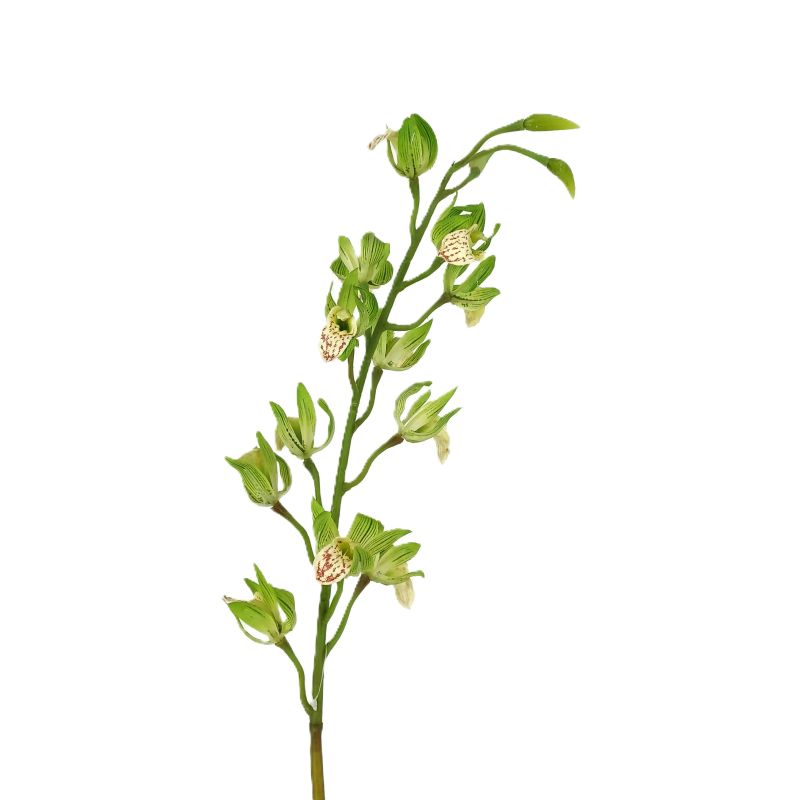 TIGE MINI CATTLEYAS VERT 63.5CM de Décoration de la maison à Libourne dans K0301