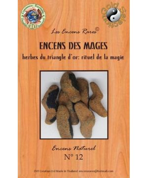 Encens Des Mages 25g Pour Méditation Et Purification D'Ambiance de Herboristerie et Esotérisme à Libourne dans D040