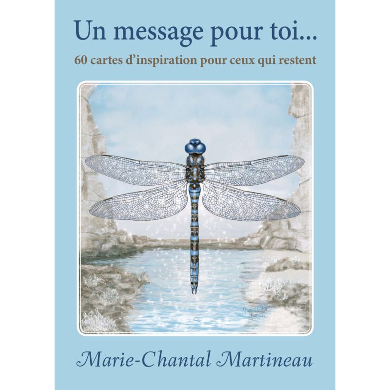 Message pour toi 60 cartes d'inspiration dauphin blanc de Herboristerie et Esotérisme à Libourne dans D040