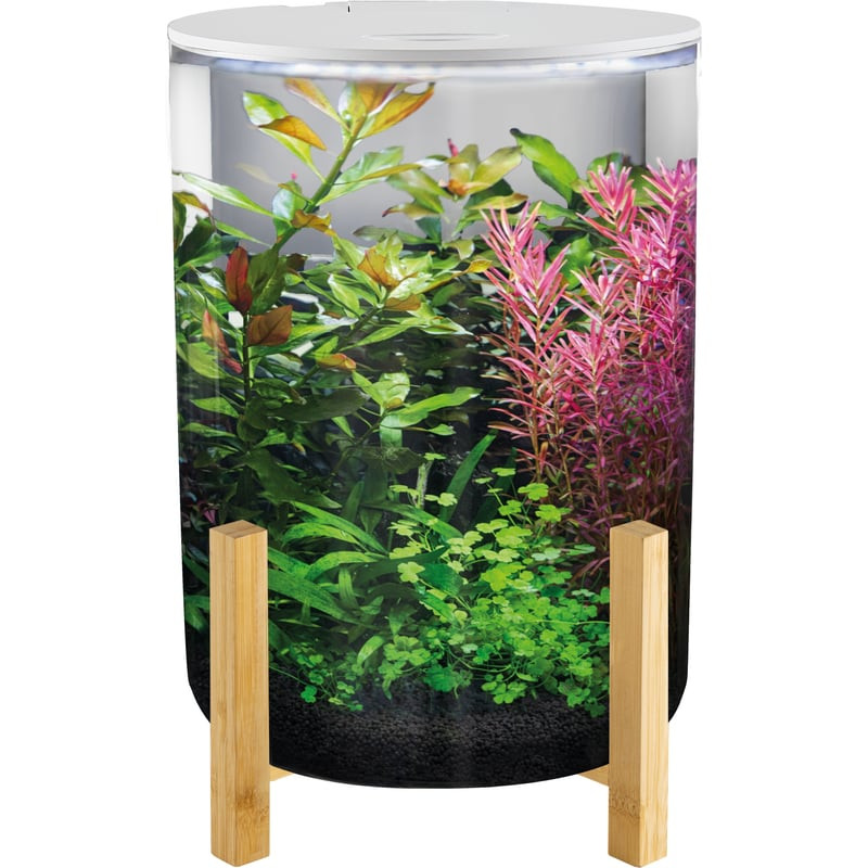 Aquarium cylindrique SuperFish OrbiQ 11 L sur base en bambou – blanc de Superfish - Aquadistri - accessoires pour aquarium et...