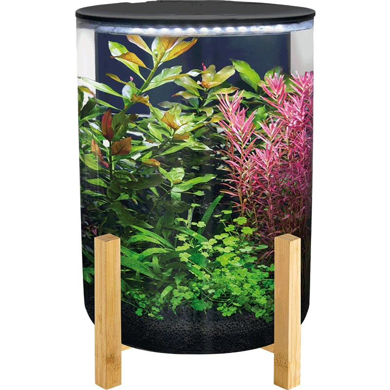 Aquarium cylindrique SuperFish OrbiQ 11 L sur base en bambou – noir de Superfish - Aquadistri - accessoires pour aquarium et ...