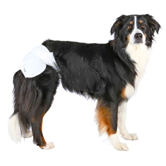 Couches pour chiens femelles, L 38-56 cm, 12 Pcs de Trixie - Produit pour animaux dans T050