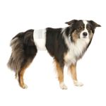 Couches pour chiens males, S-M 30-46 cm, 12 Pcs de Trixie - Produit pour animaux dans T050