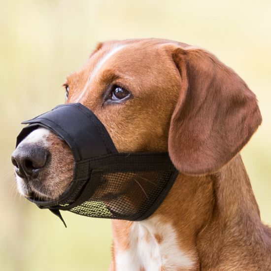 Museliere sangle avec maille, en polyester, XS-S, noir de Trixie - Produit pour animaux dans T050