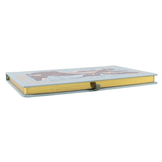 Carnet A5 Contes de fées avec stylo en cristal de Herboristerie et Esotérisme à Libourne dans S162