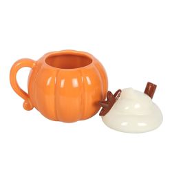 Tasse d'automne crème citrouille avec couvercle de Herboristerie et Esotérisme à Libourne dans S162
