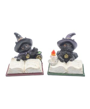 Chat Wicca Résine 8,5 x 8,5 x 7,5 cm de Herboristerie et Esotérisme à Libourne dans E111