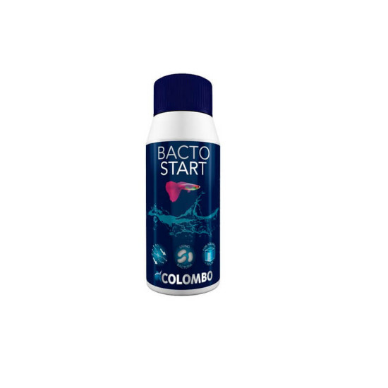 Colombo bacto start 100 ml de Colombo - Produit pour aquariums dans Equilibre de l'eau de l'aquarium