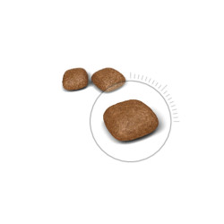 Chat Urinary Care 4Kg Royal Canin de Royal Canin - Croquette chien et chat dans Croquettes Royal Canin pour chats