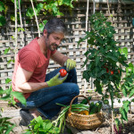 GANT COLORS ANIS T9 de Blackfox - Bottes et sabots dans Gants pour le jardin