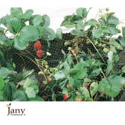FILET PROTECTION OISEAUX 2X10M de Jardinerie Bordeaux Libourne Gironde dans Accessoires de Culture