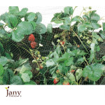 FILET PROTECTION OISEAUX 2X10M de Jardinerie Bordeaux Libourne Gironde dans Accessoires de Culture