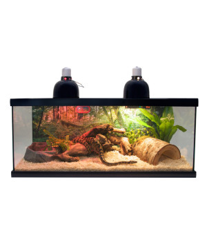 KIT REPTIHAB SERPENT NTS21 de Zoomed - Accessoires reptiles dans Terrariums &ndash; Vivariums