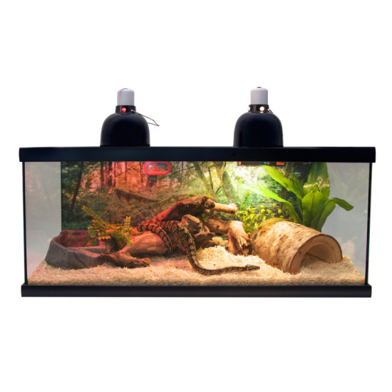 KIT REPTIHAB SERPENT NTS21 de Zoomed - Accessoires reptiles dans Terrariums – Vivariums