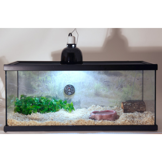 KIT REPTIHAB SERPENT NTS21 de Zoomed - Accessoires reptiles dans Terrariums – Vivariums