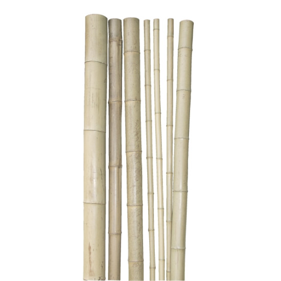 TUTEUR BAMBOU 200CM D9CM de Windhager - Accessoires de jardin dans Tuteur pour plante