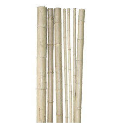 TUTEUR BAMBOU 200CM D9CM de Windhager - Accessoires de jardin dans Tuteur pour plante