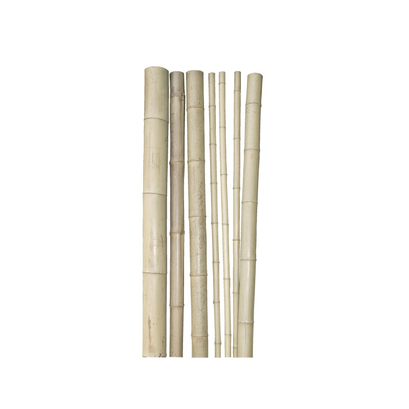 Lot De 40 Tuteurs En Bambou 120 Cm Relaxdays – Supports Naturels Pour Plantes Grimpantes Et Décoration