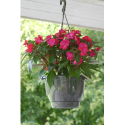 Pot Suspension Acropole 27 Gris Pai -Pot Riviera de Riviera - fabricant de Pots à reserve d'eau et sans réserve dans Pots en ...