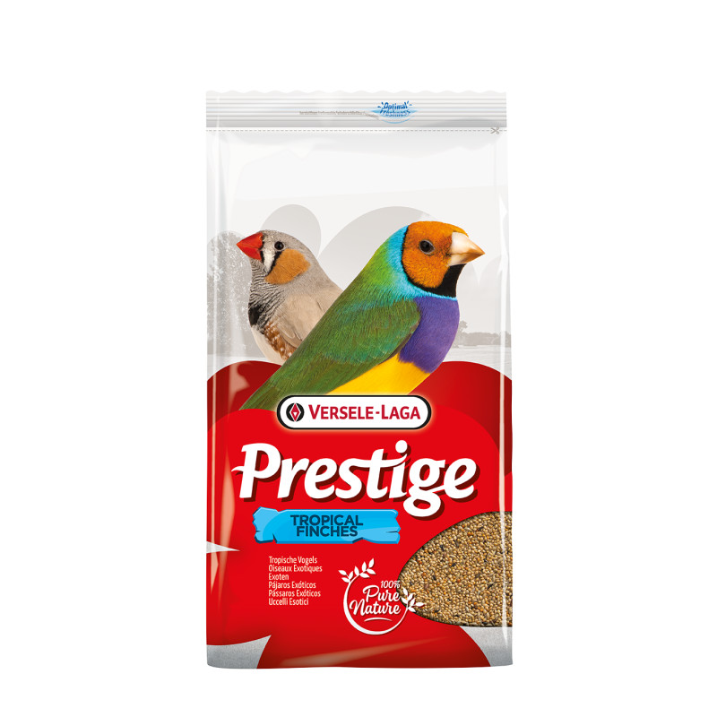 Oiseaux Exotiques 4Kg versele laga de Versele Laga - Orlux - Pâtée pour oiseaux et nourriture rongeurs dans Graines pour oiseaux