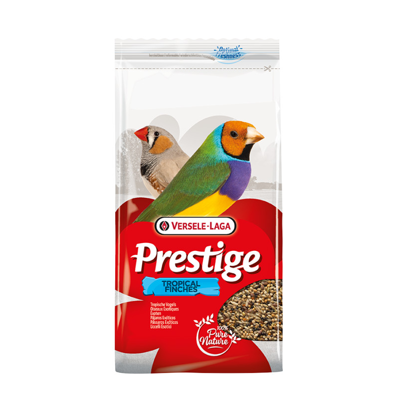 Oiseaux Exotiques 1Kg versele laga de Versele Laga - Orlux - Pâtée pour oiseaux et nourriture rongeurs dans Graines pour oiseaux